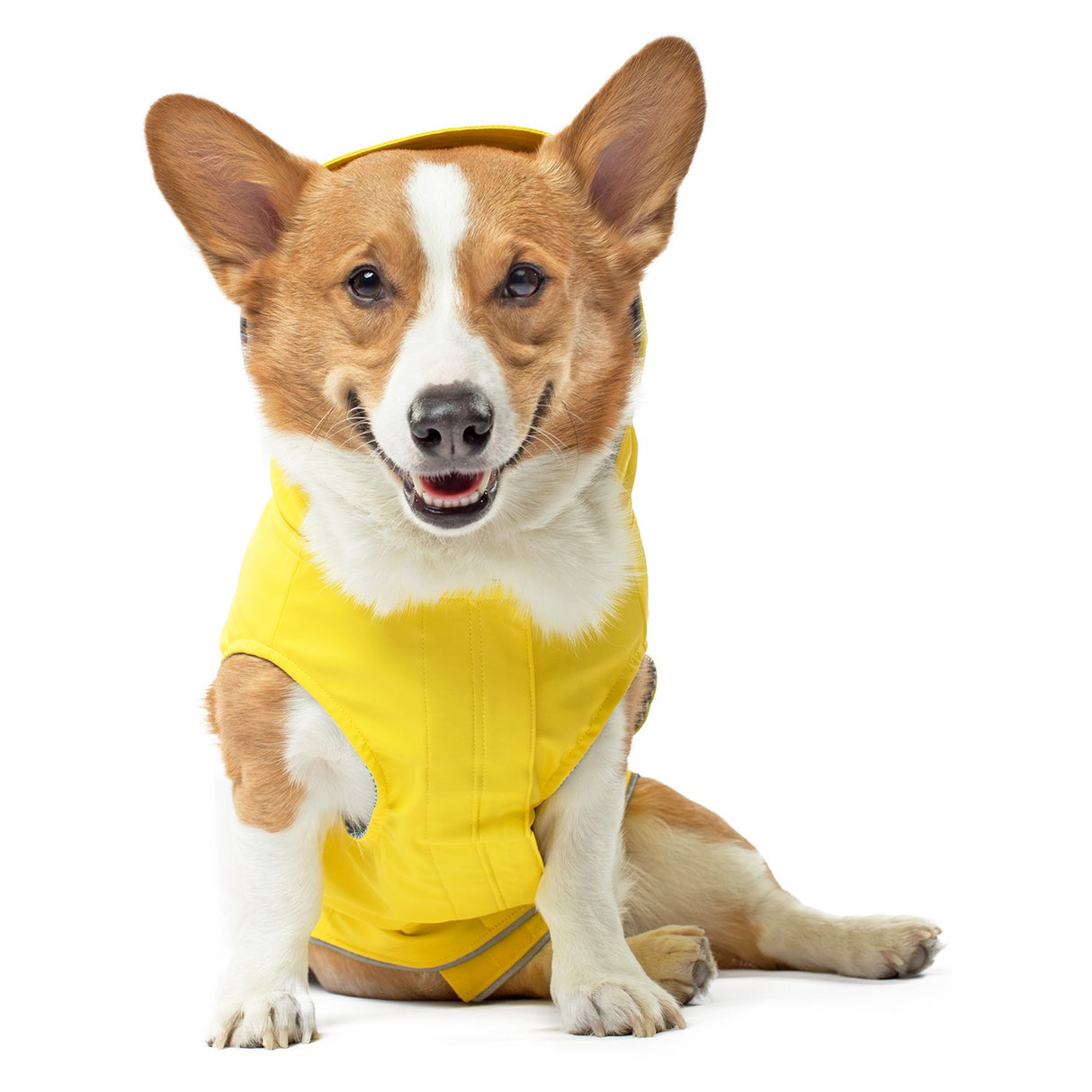 Canada Pooch Torrential Tracker Dog Jacket