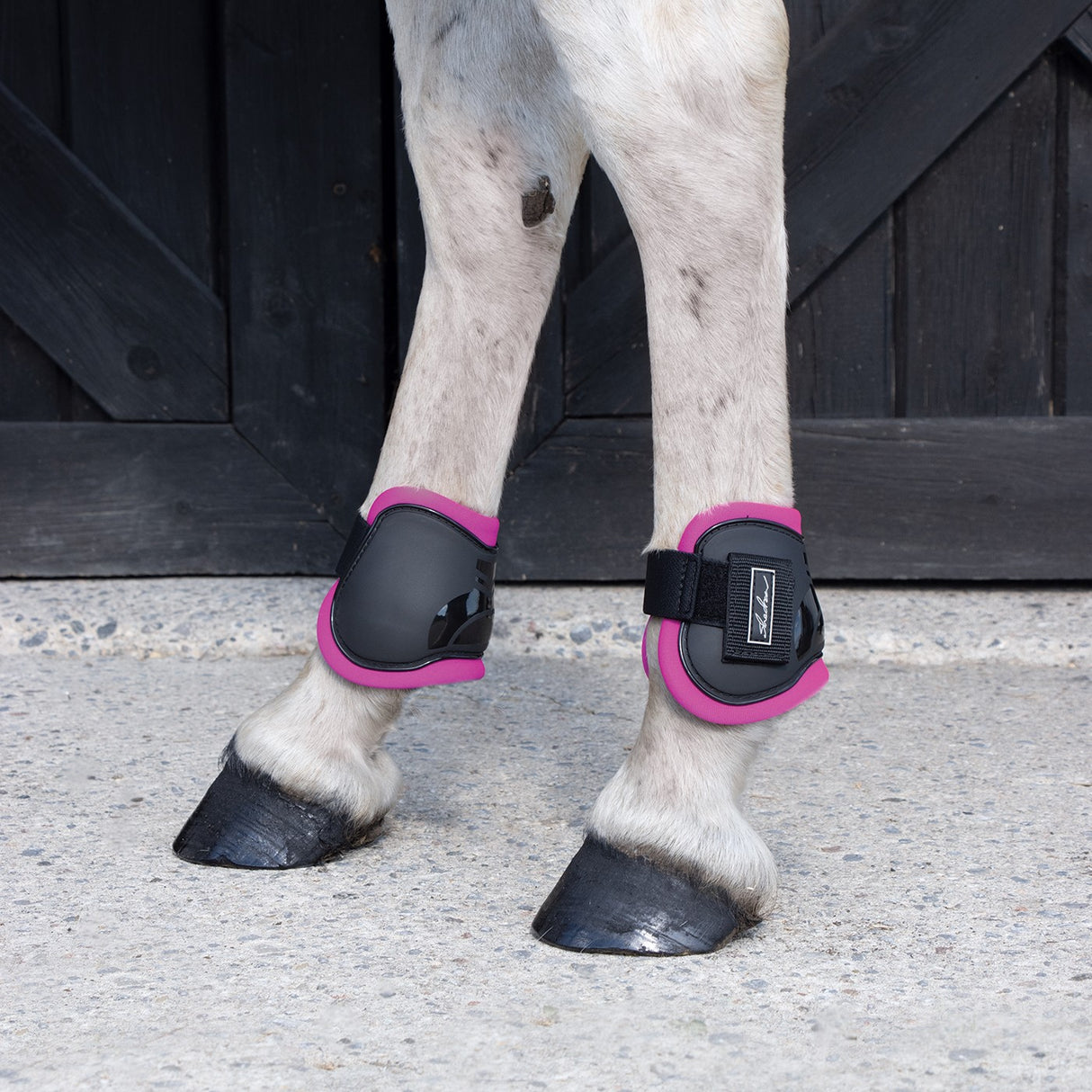 Shedrow Fetlock Boots W/ Coloured Lining