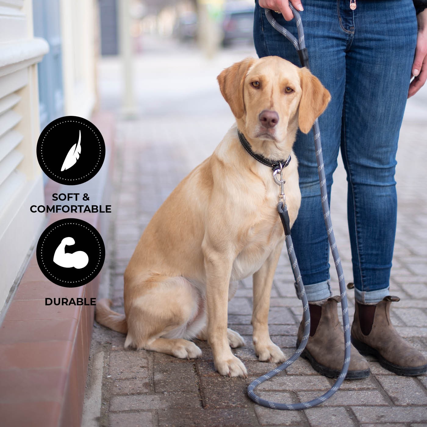 Shedrow K9 Camino Corde Laisse