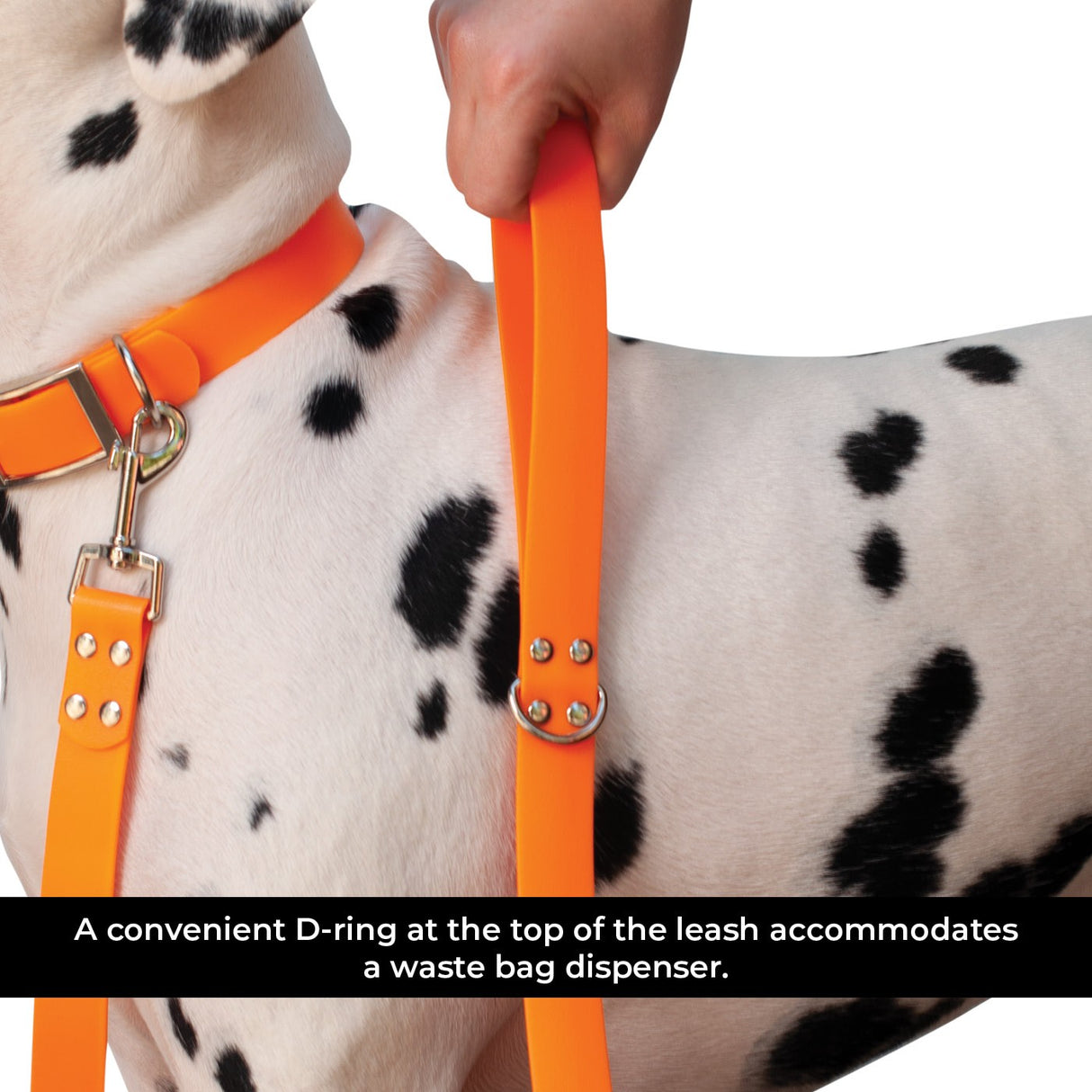 Shedrow K9 Tofino II Waterproof Leash 5 ft.