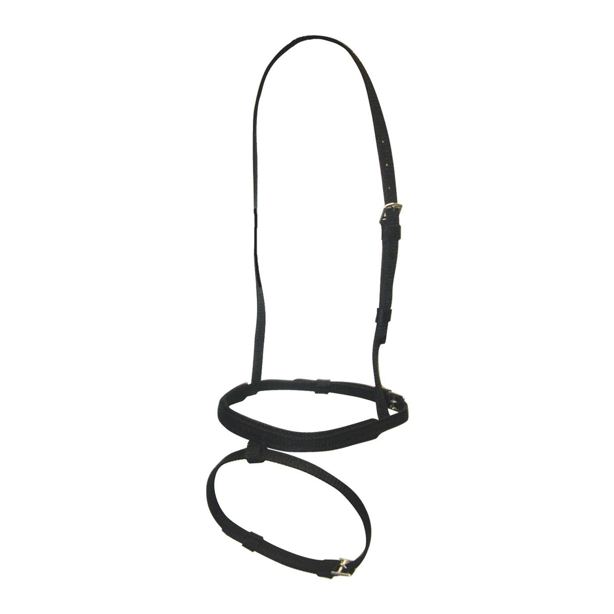 Shedrow Thoroughbred Race Flash Noseband