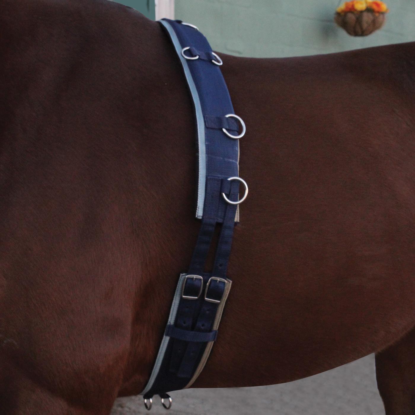 Supra Smart Lunge Set