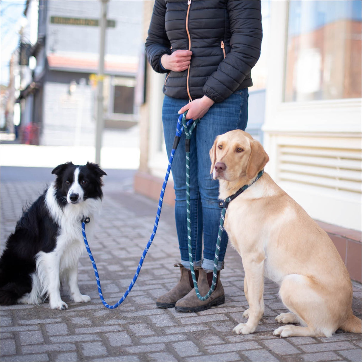 Shedrow K9 Camino Rope Slip Leash