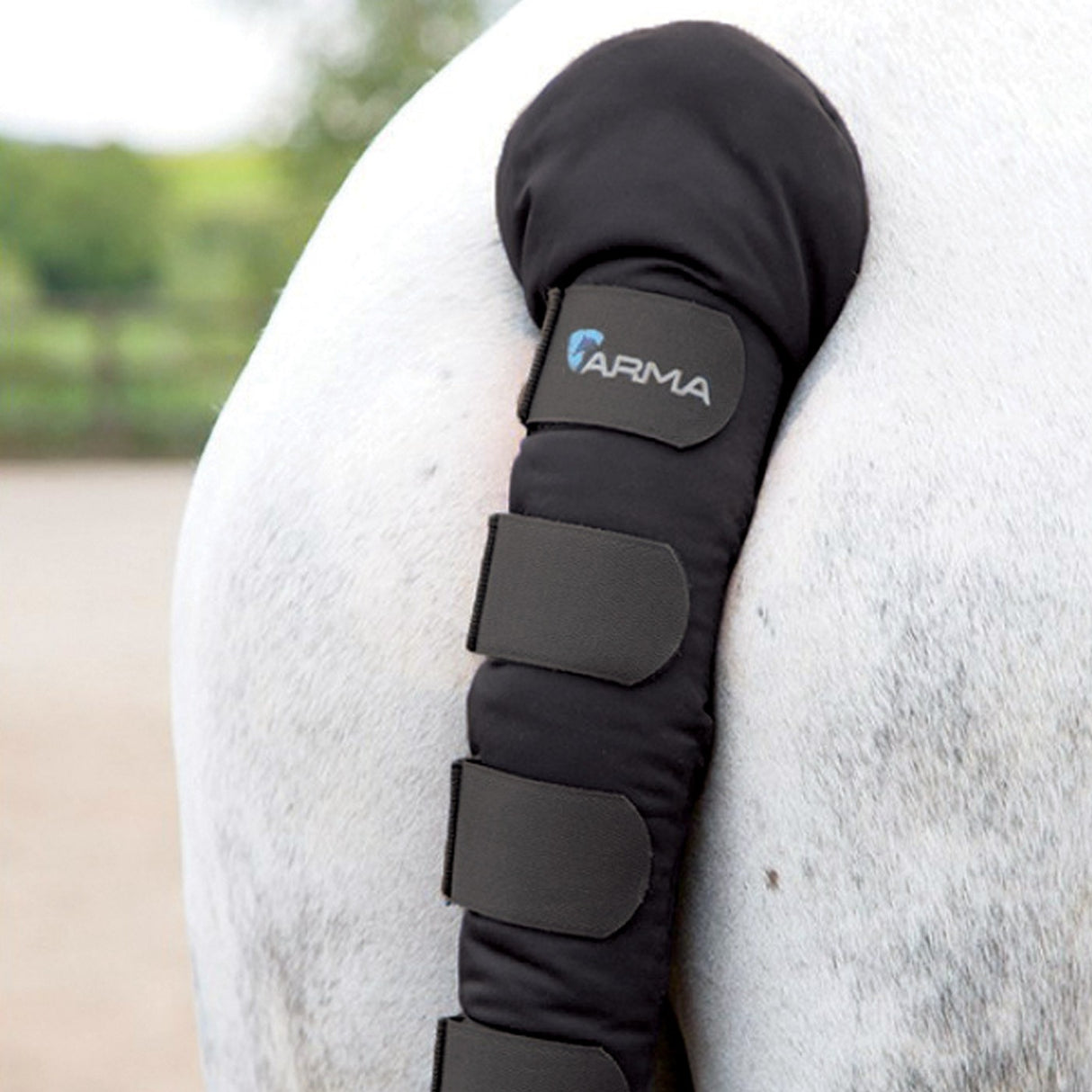 Shires Arma Padded Tail Guard