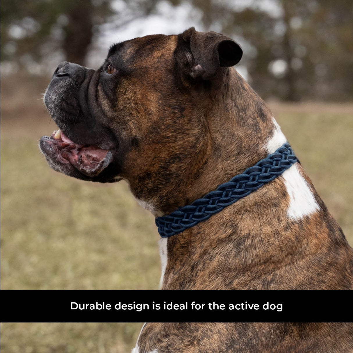 Shedrow K9 Rideau en corde tressée et collier en cuir