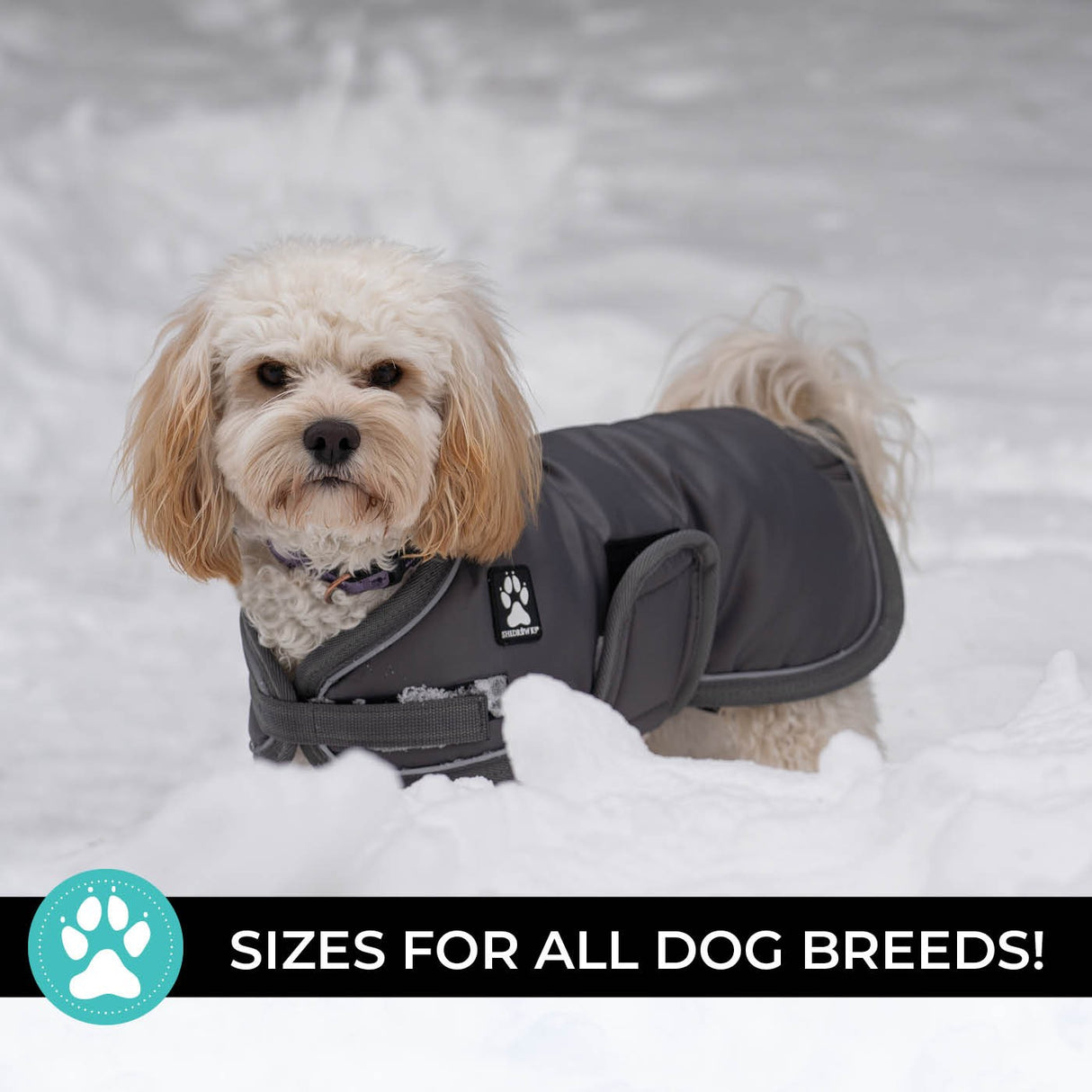 Shedrow K9 Vail Dog Coat