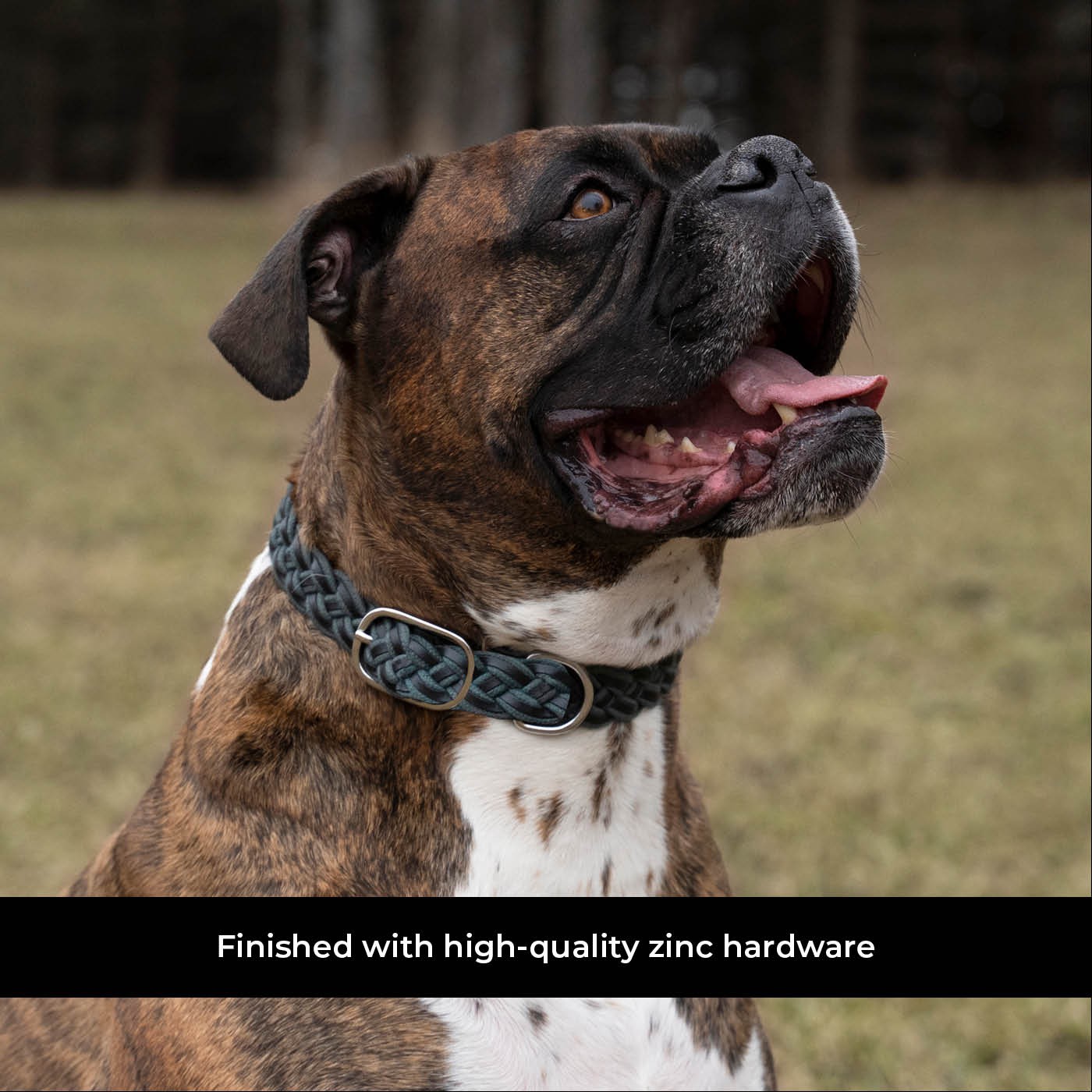 Shedrow K9 Rideau en corde tressée et collier en cuir