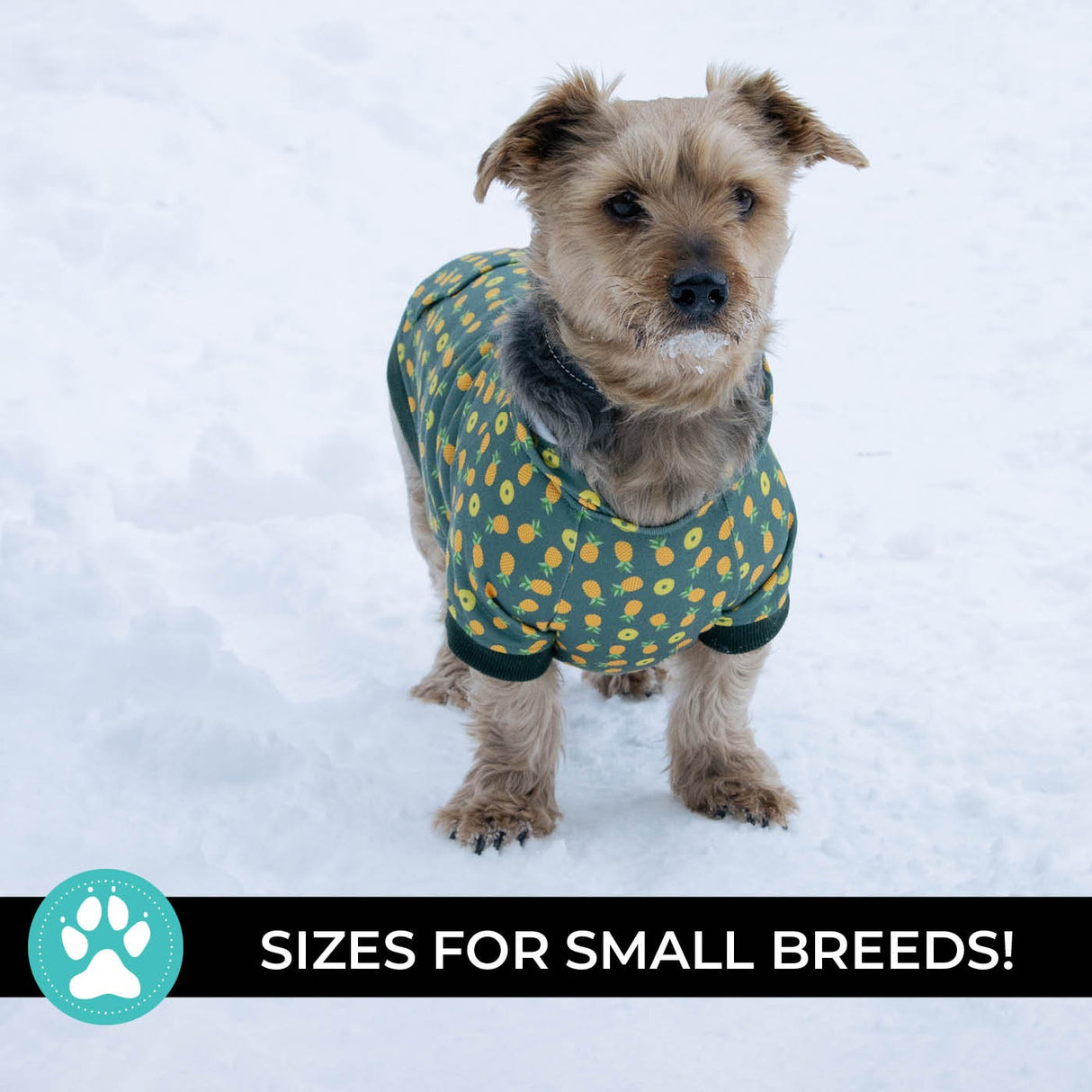 Shedrow K9 Canmore Dog Hoodie