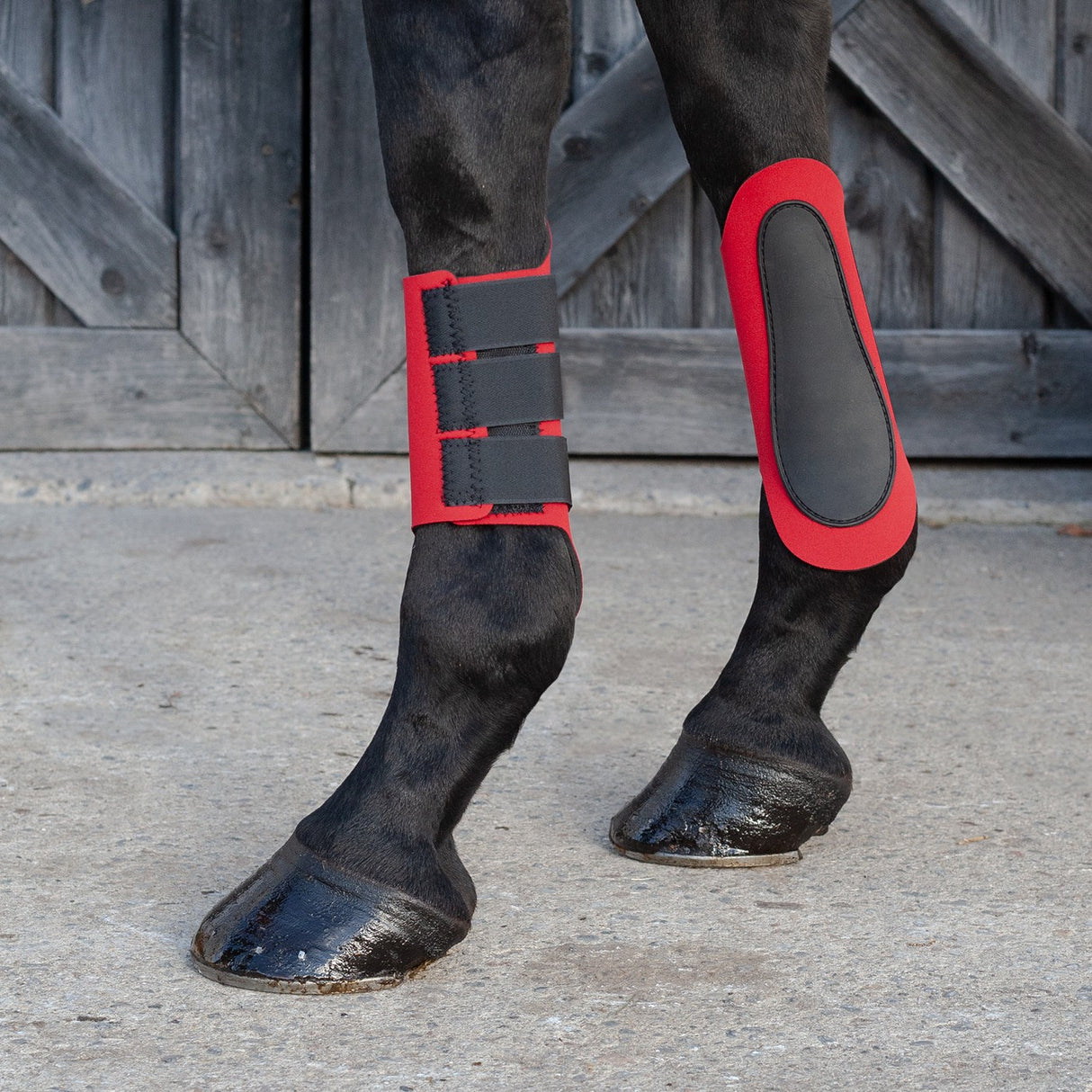 Bottes d'attelle en néoprène Jack's