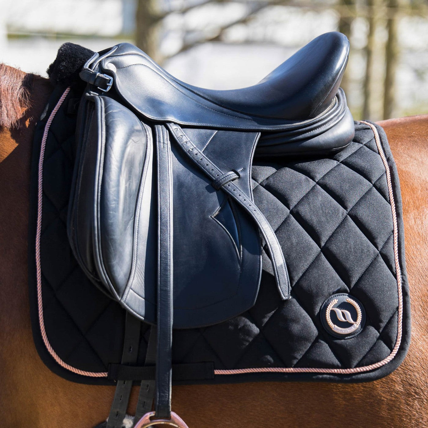 Back on Track Haze Collection Dressage Saddle Pad