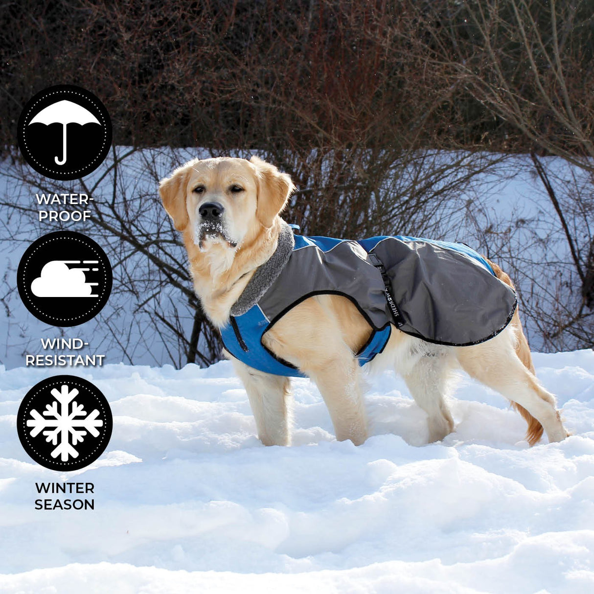 Shedrow K9 Chinook Dog Coat