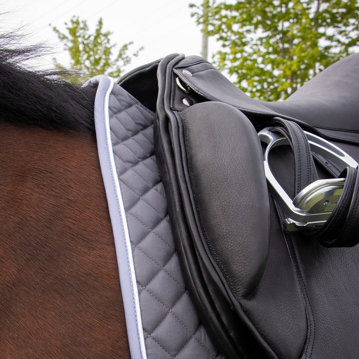 Tapis de selle de dressage original Shedrow