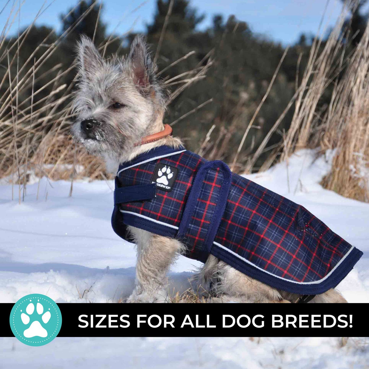 Shedrow K9 Glacier Dog Coat