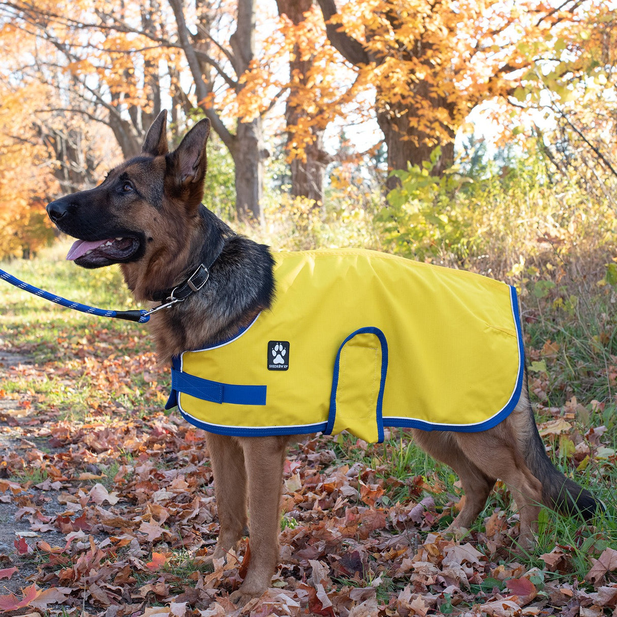 Shedrow K9 Harbour Rain Coat