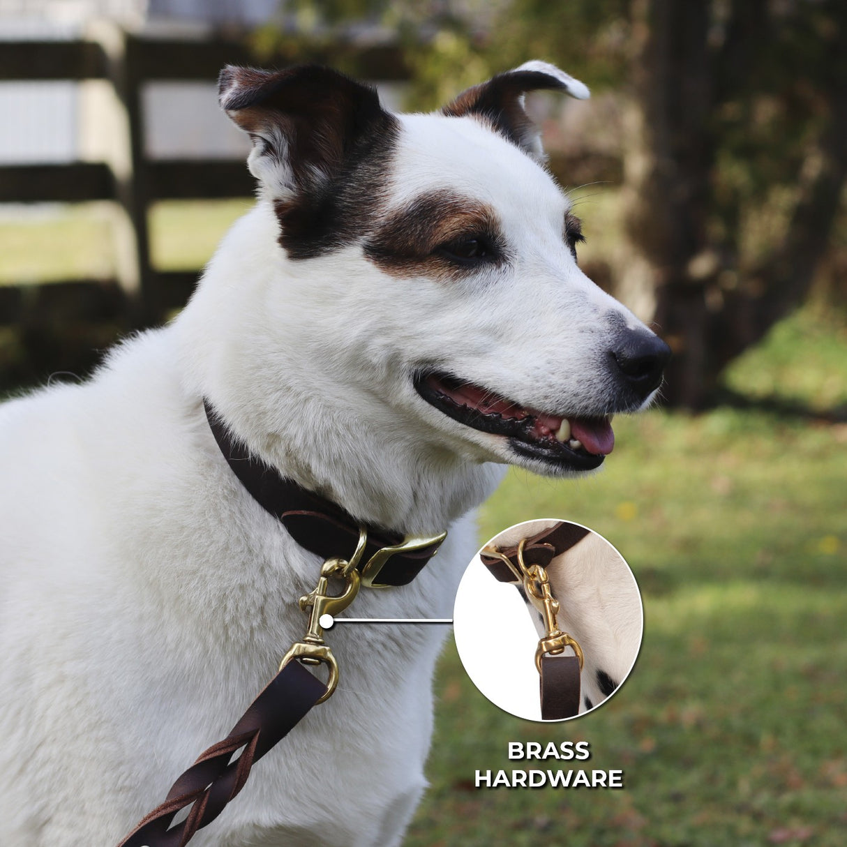 Laisse en cuir torsadé Shedrow K9 Bristol 1,5 m