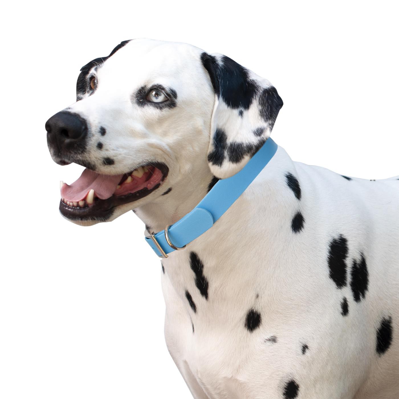 Shedrow K9 Tofino II Waterproof Collar