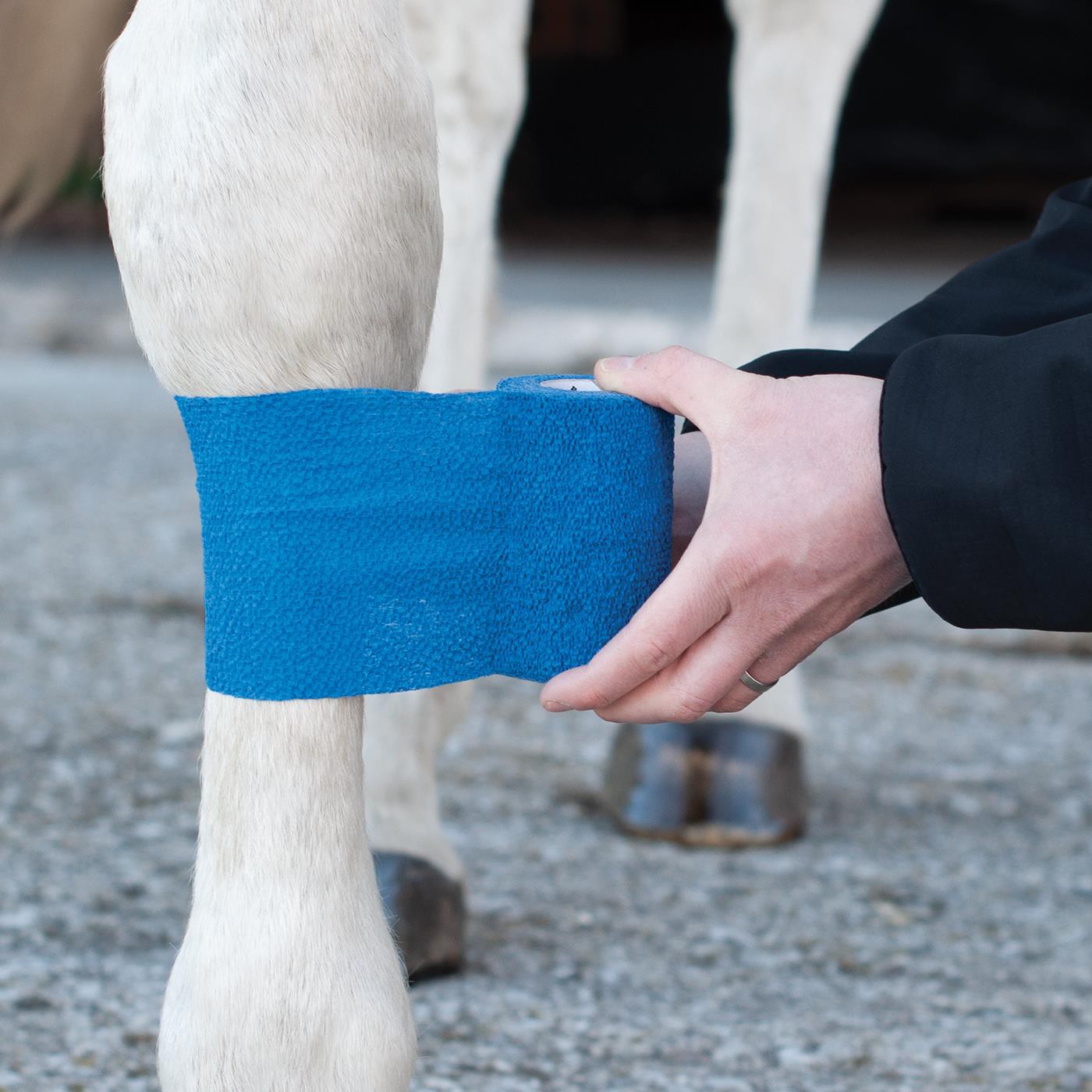 Enveloppe flexible Shedrow