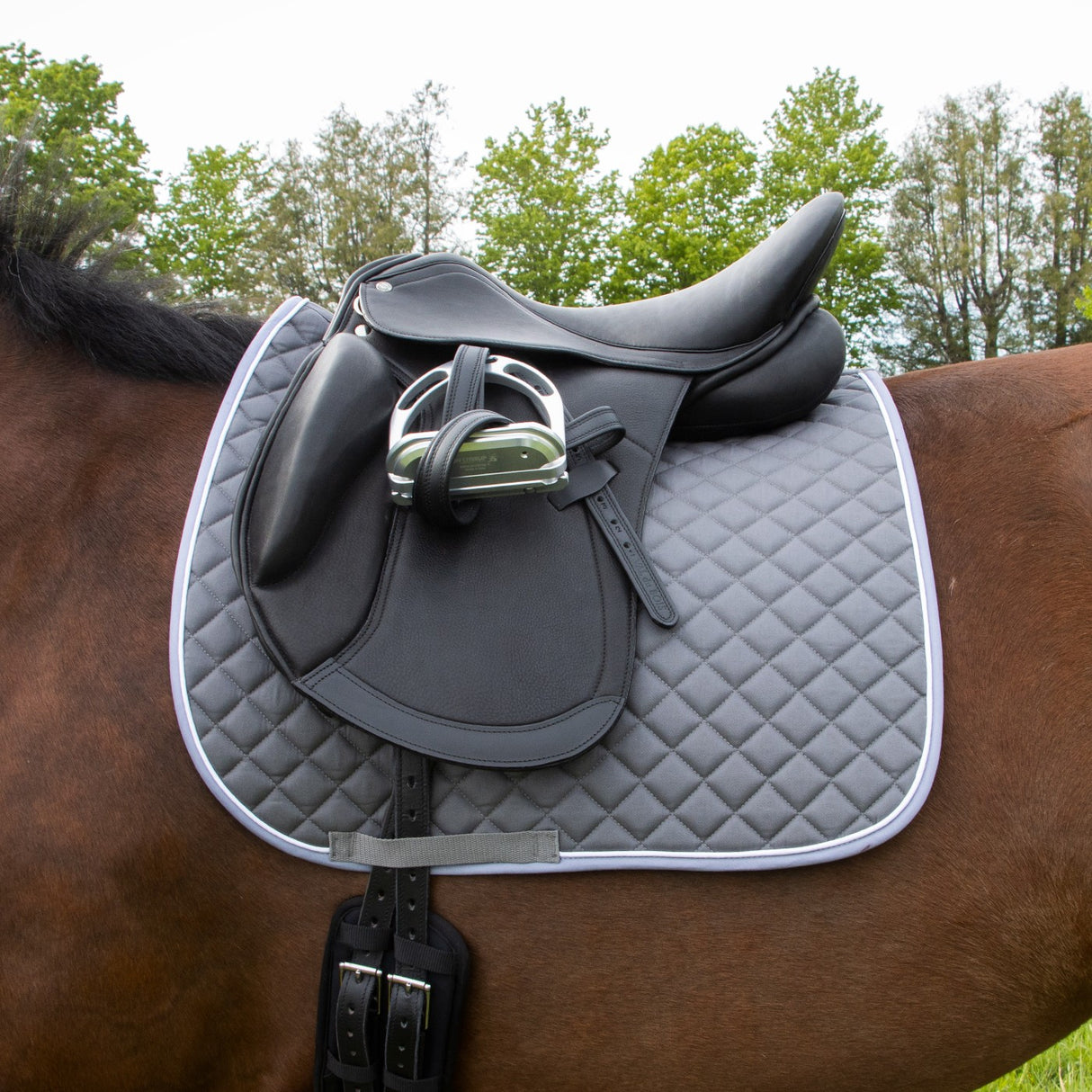 Tapis de selle de dressage original Shedrow