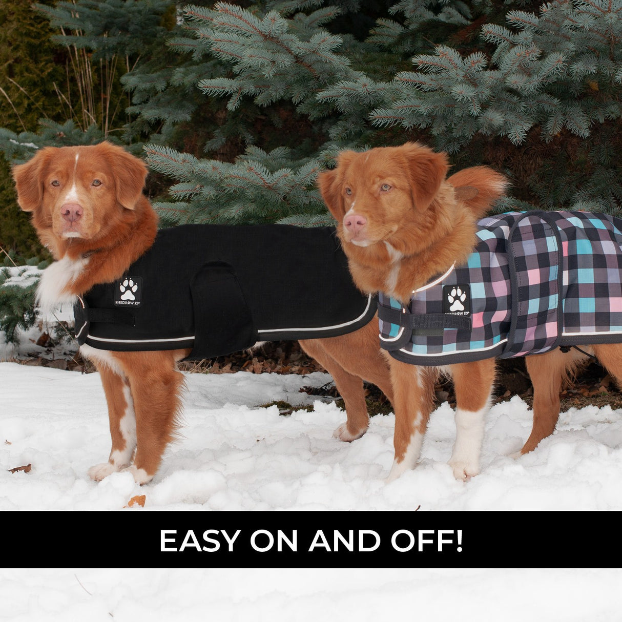 Shedrow K9 Harbour Rain Coat