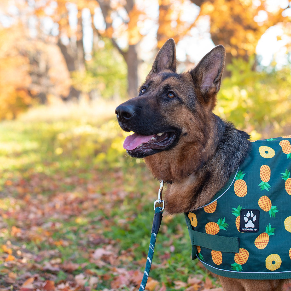 Shedrow K9 Harbour Rain Coat