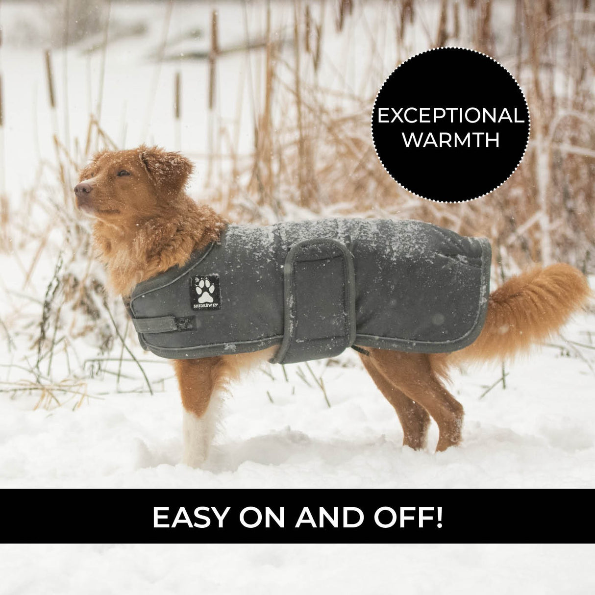 Shedrow K9 Vail Dog Coat