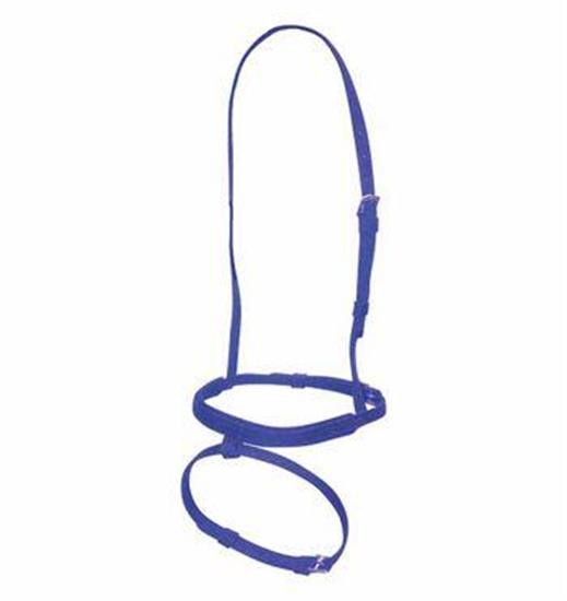 Shedrow Thoroughbred Race Flash Noseband