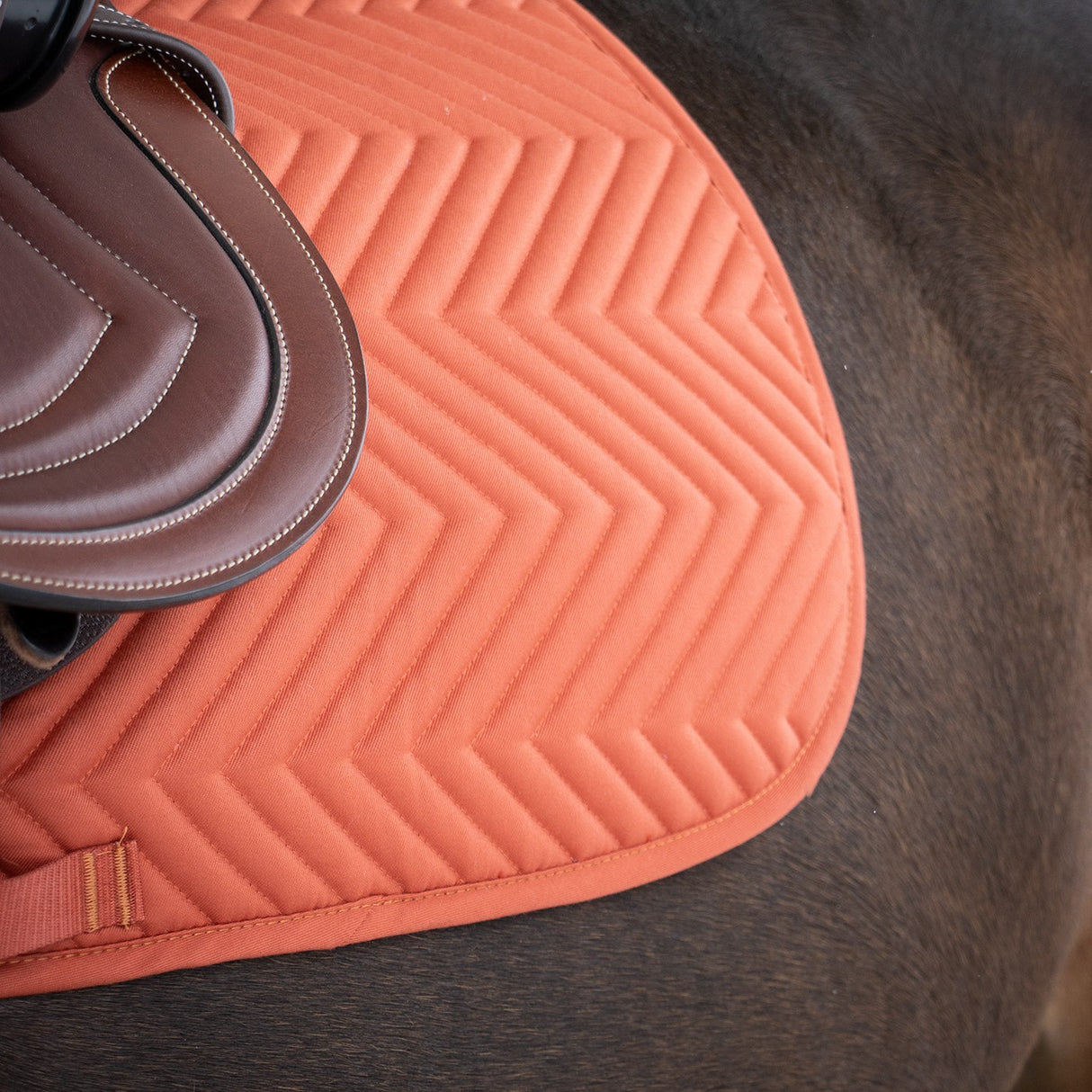 Everyday Essential Saddle Pad