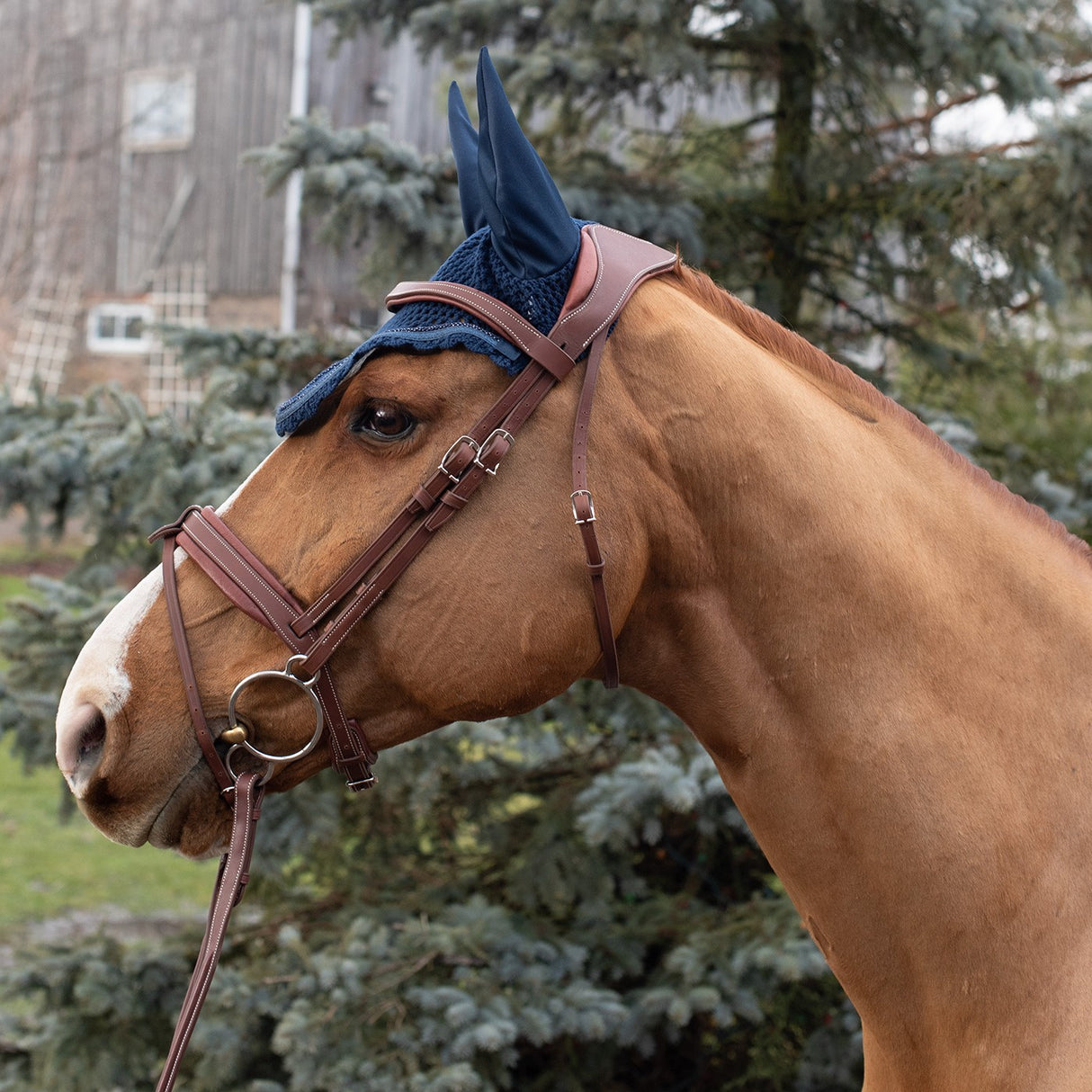 Bonnet entaillé Shedrow