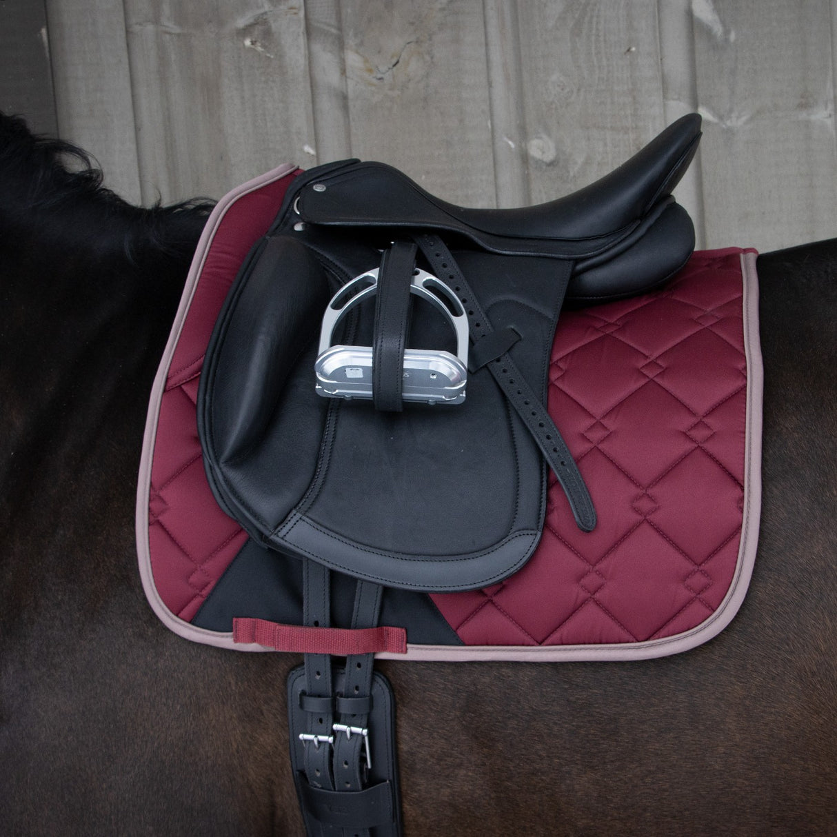 Shedrow Laurent Dressage Saddle Pad