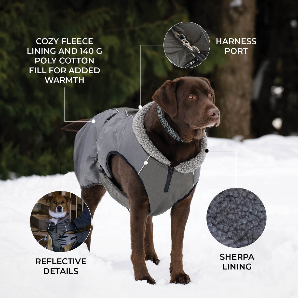 Shedrow K9 Chinook Dog Coat
