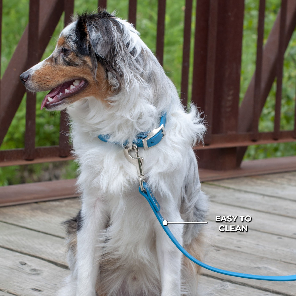 Shedrow K9 Tofino II Waterproof Leash 1.5 m
