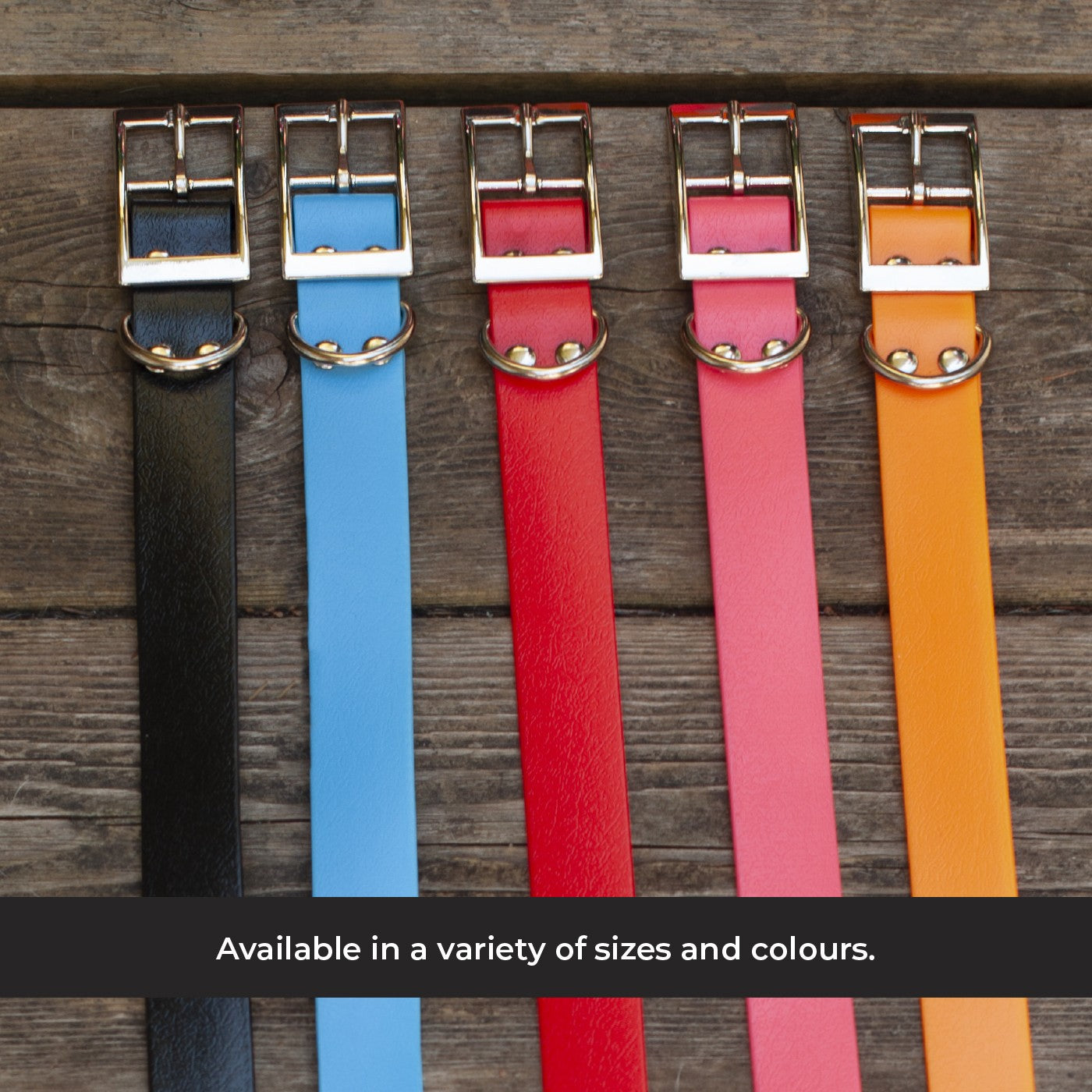 Shedrow K9 Tofino II Waterproof Collar