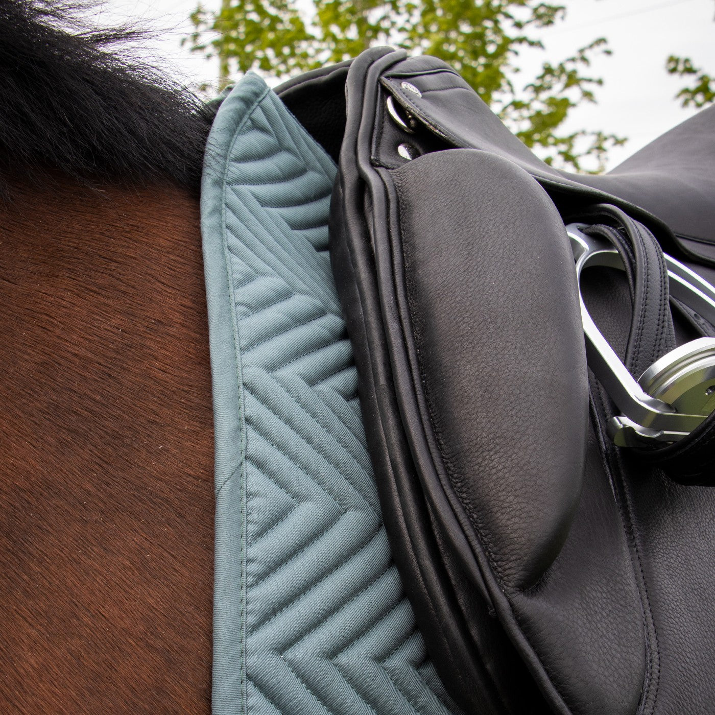 Everyday Essential Dressage Saddle Pad