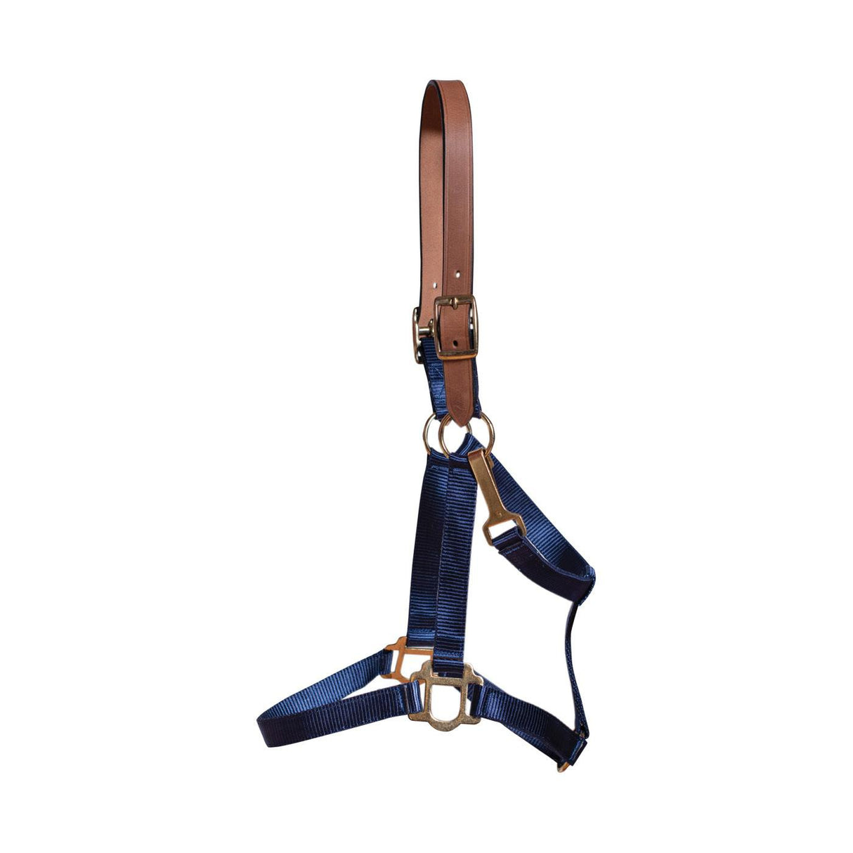 Licol Supra en nylon avec couronne en cuir