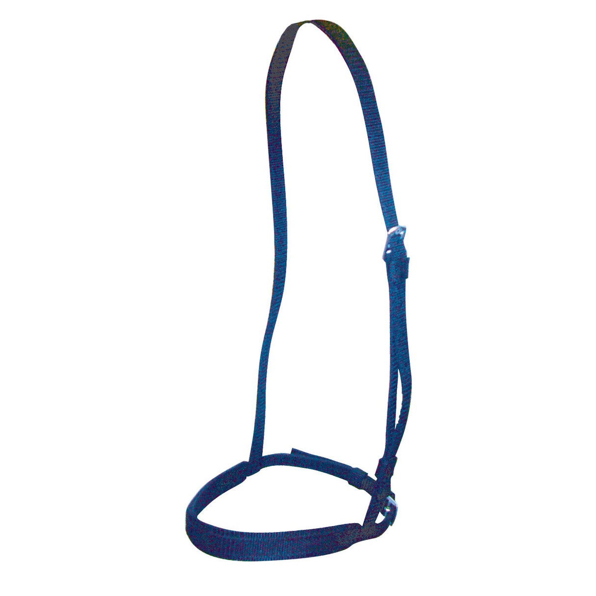 Shedrow Thoroughbred Race Cavesson