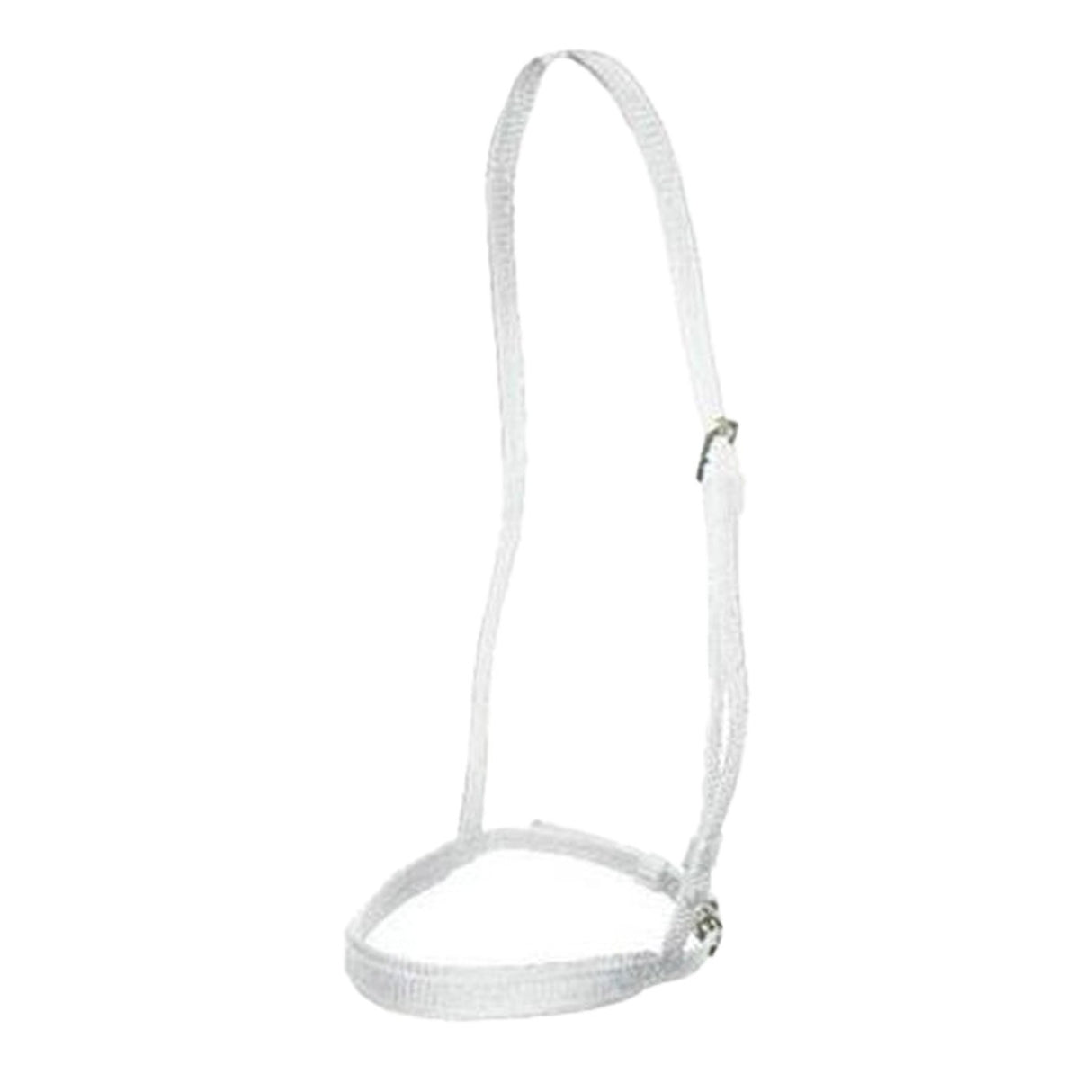 Shedrow Thoroughbred Race Cavesson