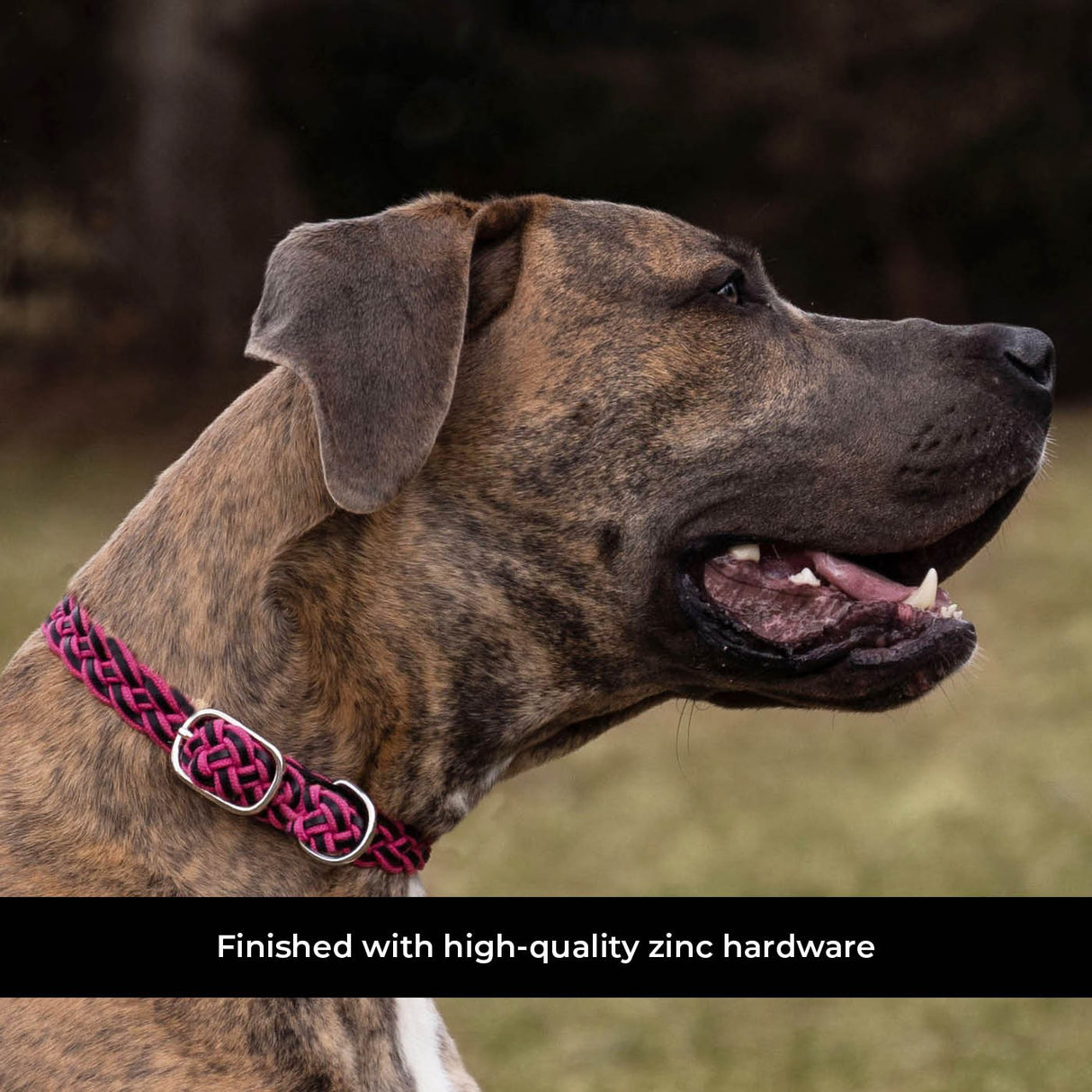 Shedrow K9 Rideau en corde tressée et collier en cuir