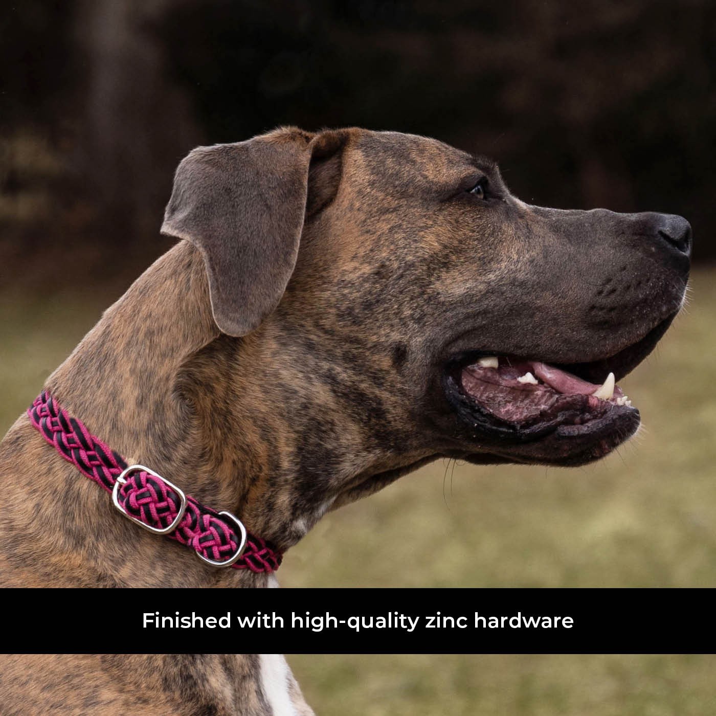 Shedrow K9 Rideau en corde tressée et collier en cuir