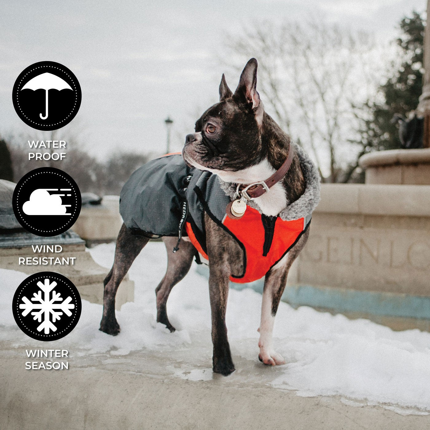 Manteau Shedrow K9 Chinook pour chien