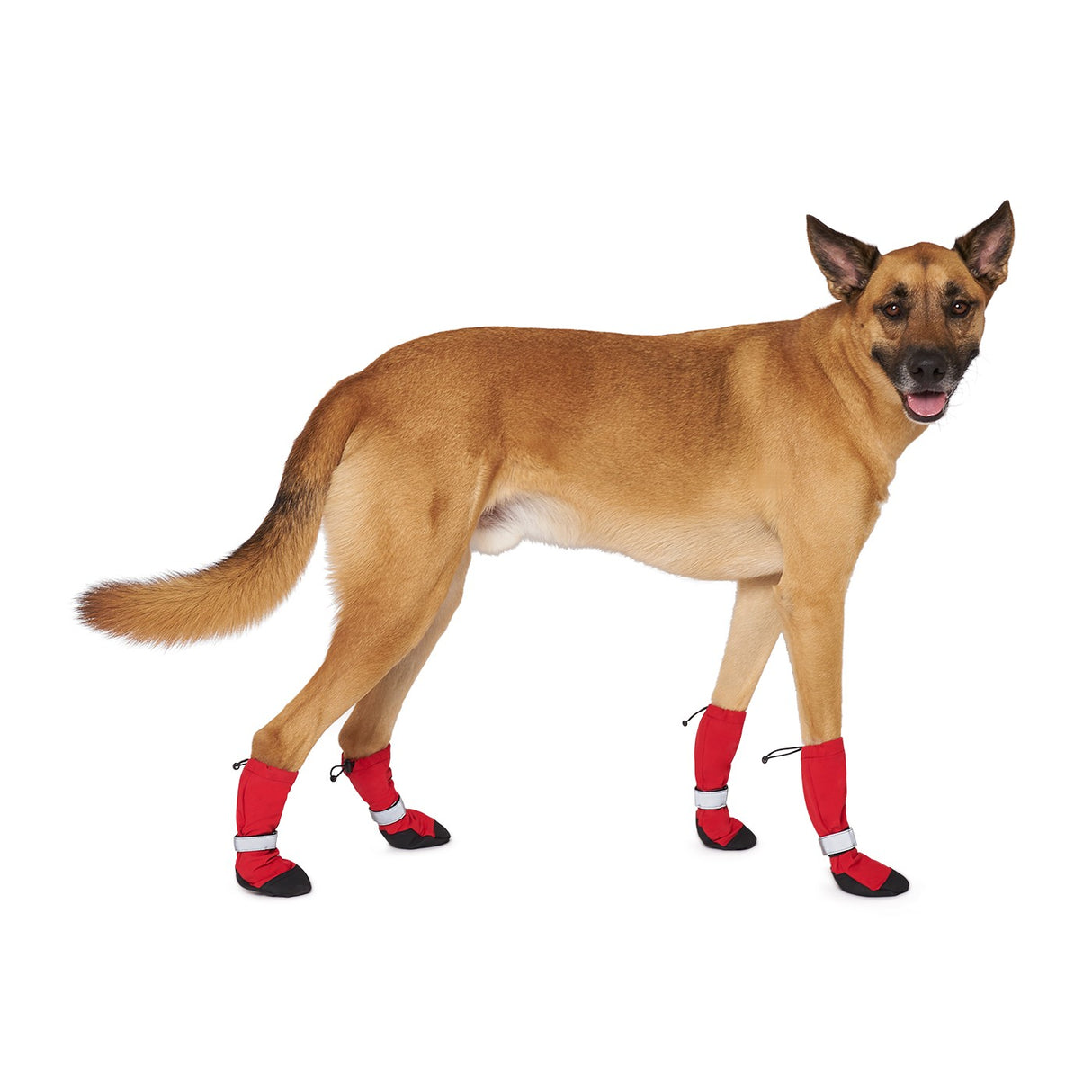 Canada Pooch Soft Shield Boots