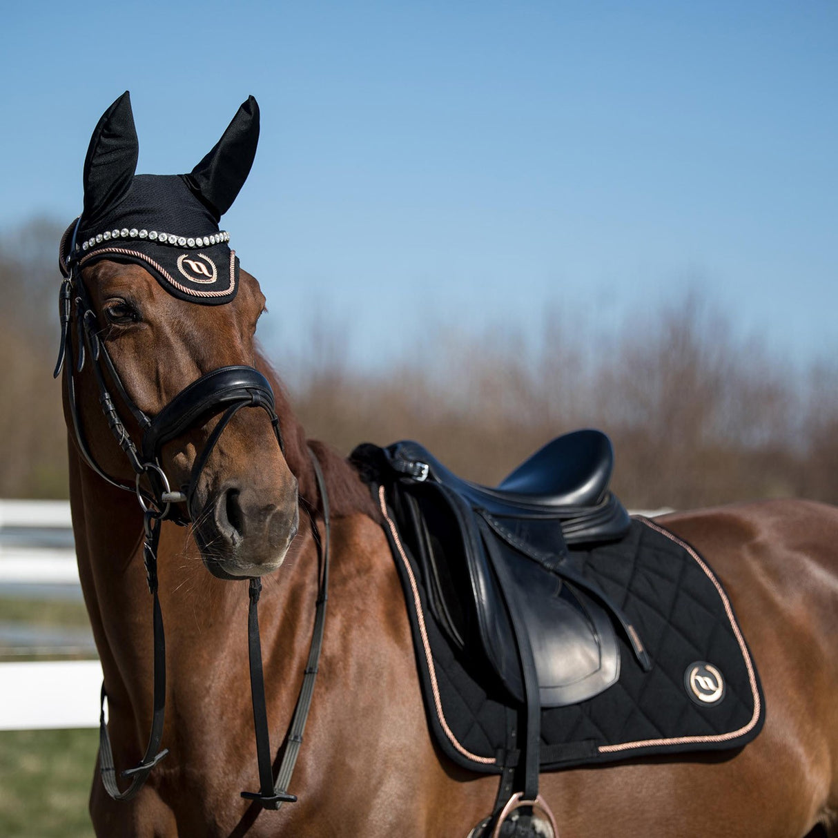 Back on Track Haze Collection Dressage Saddle Pad