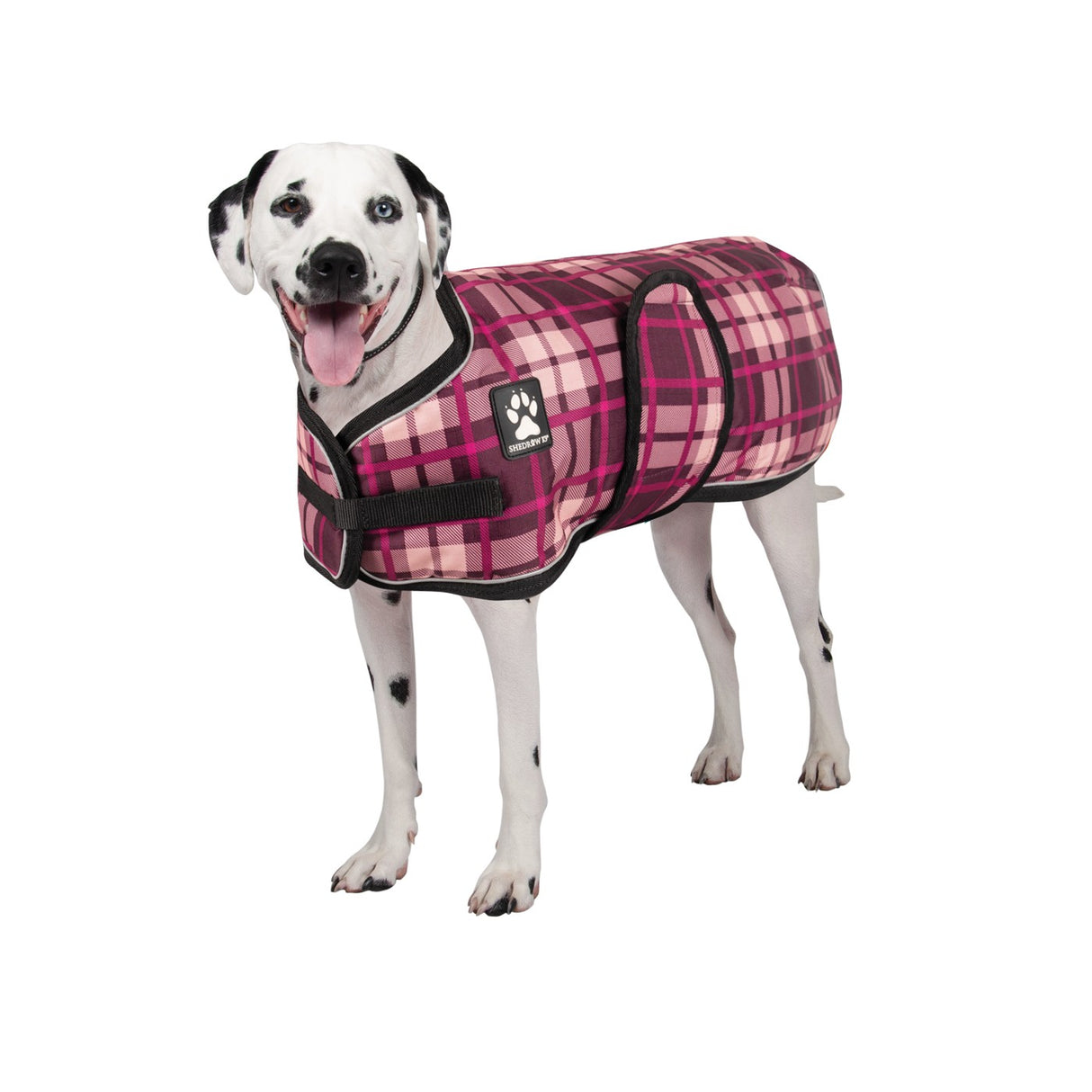 Manteau pour chien Shedrow K9 Glacier