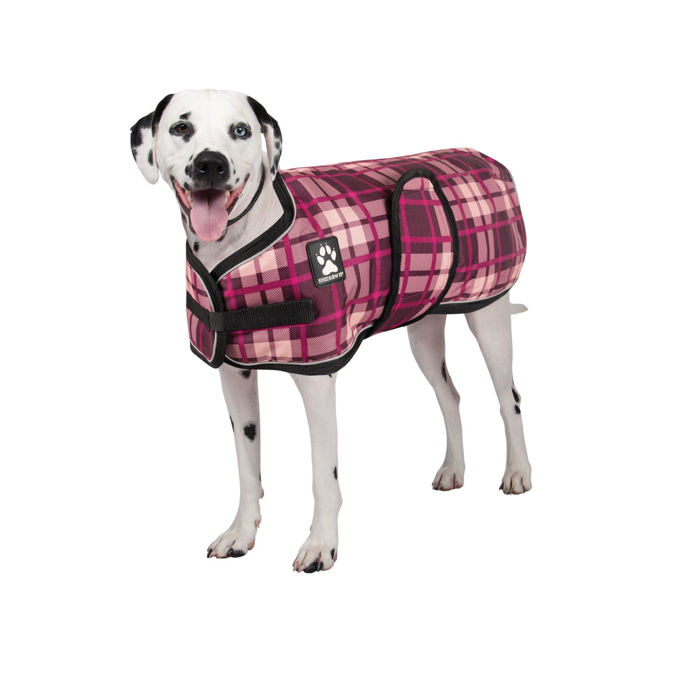 Manteau pour chien Shedrow K9 Glacier