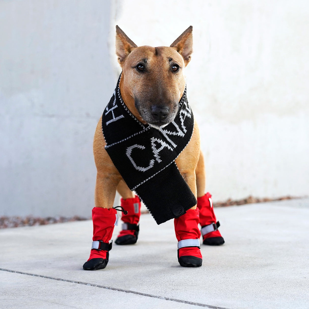 Canada Pooch Soft Shield Boots