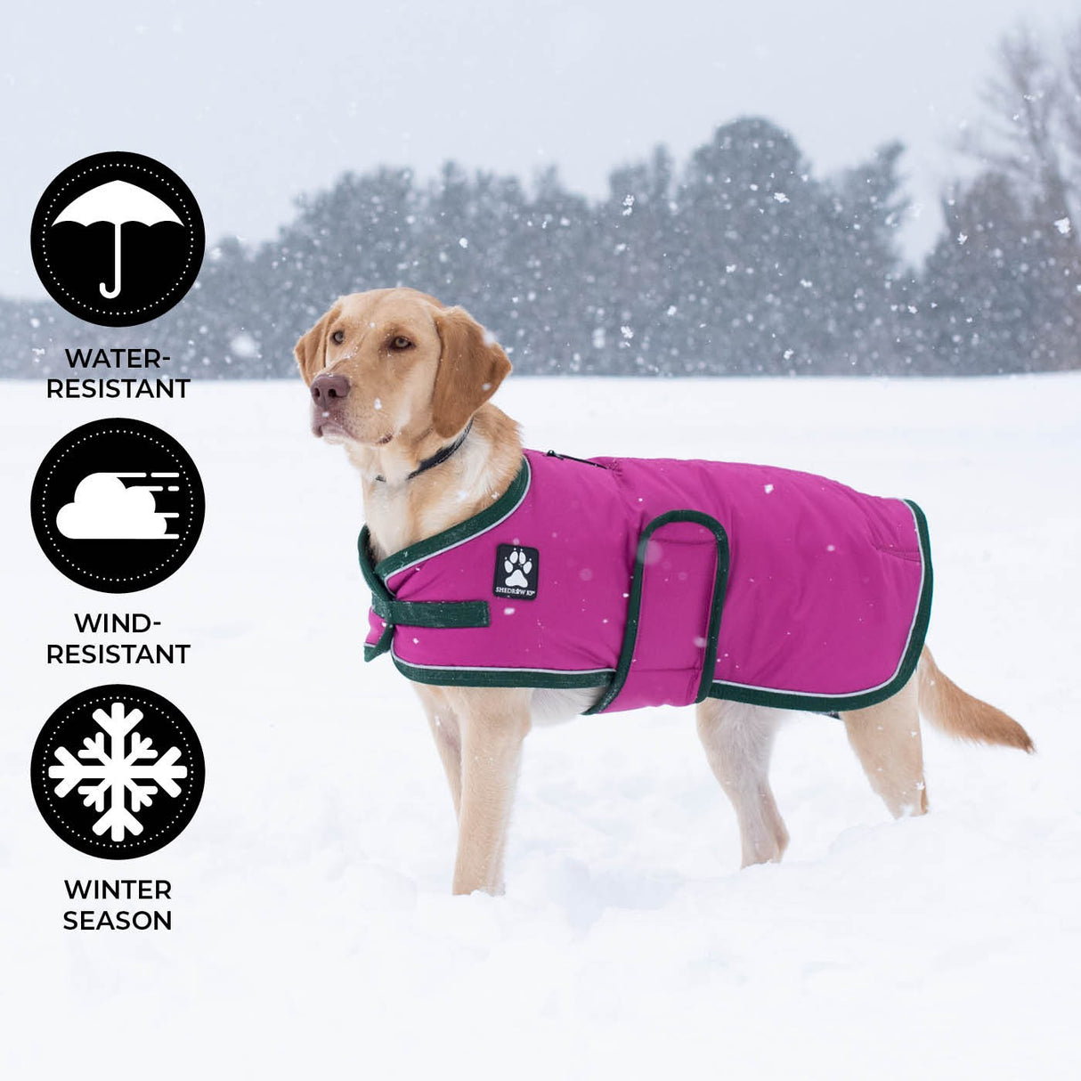 Shedrow K9 Vail Dog Coat