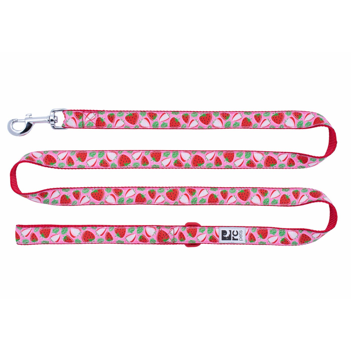 Laisse pour chien de compagnie RC 6 pi.