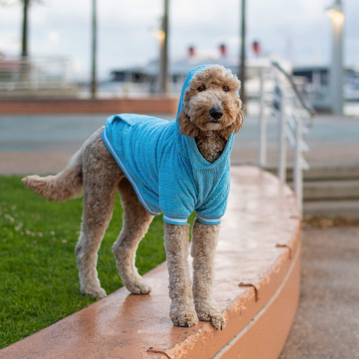 Canada Pooch Beach Bum Towel Hoodie