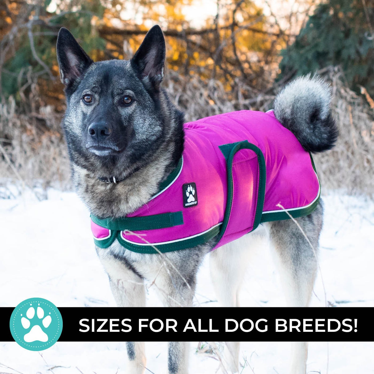 Shedrow K9 Vail Dog Coat