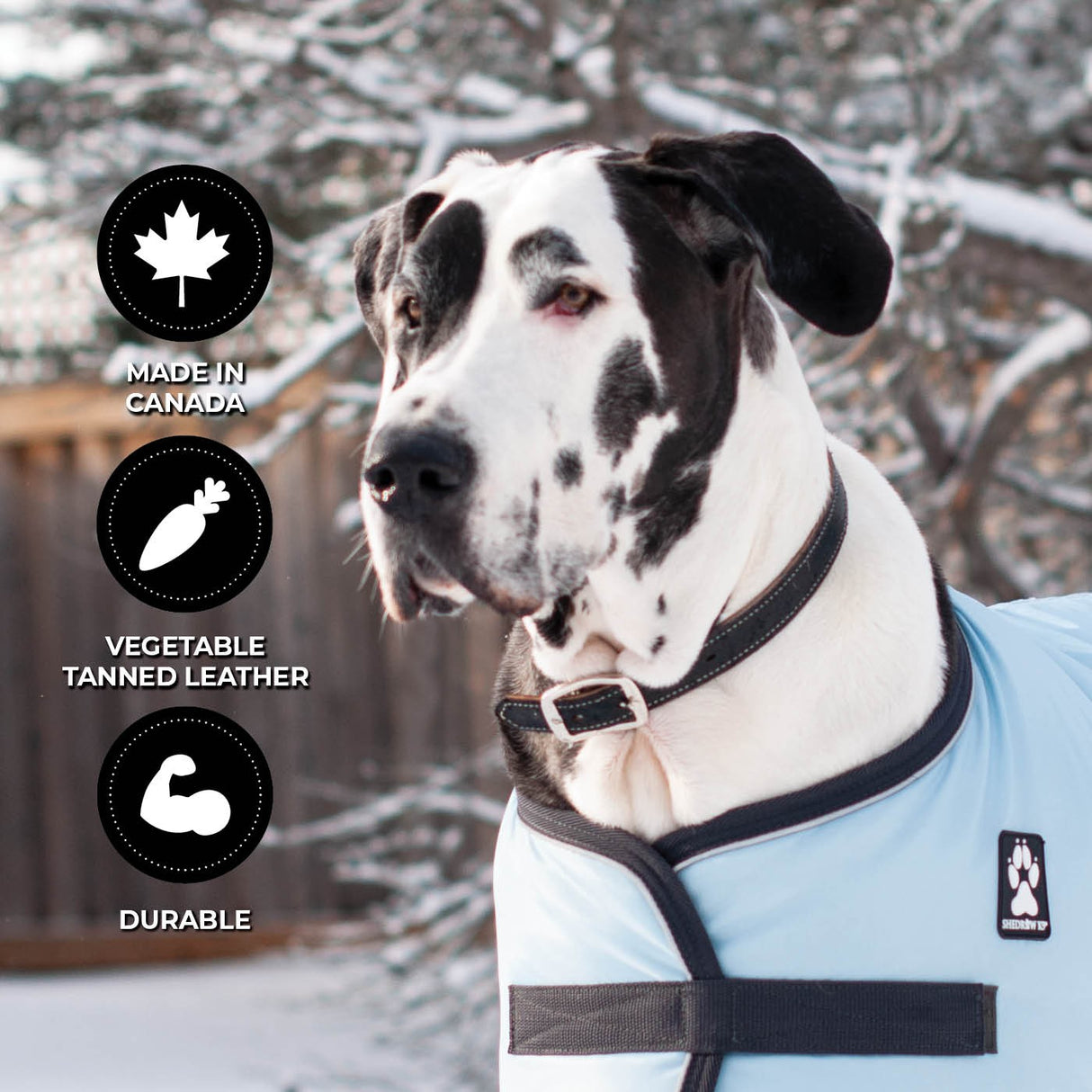 Shedrow K9 Richmond II Collier en cuir surpiqué