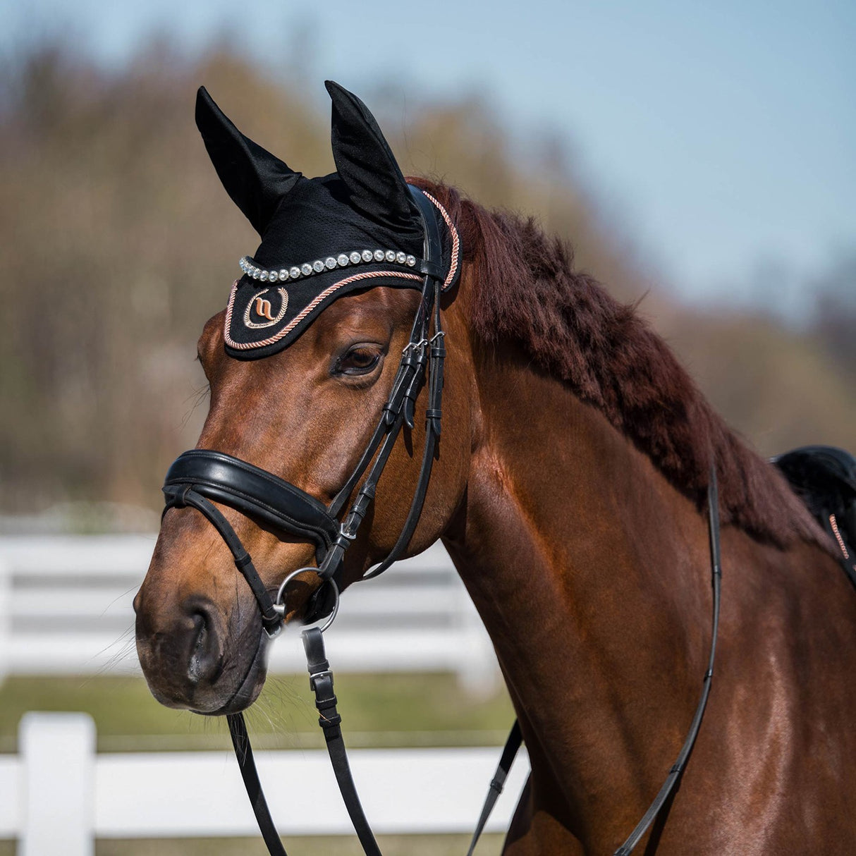 Back on Track Haze Collection Fly Veil